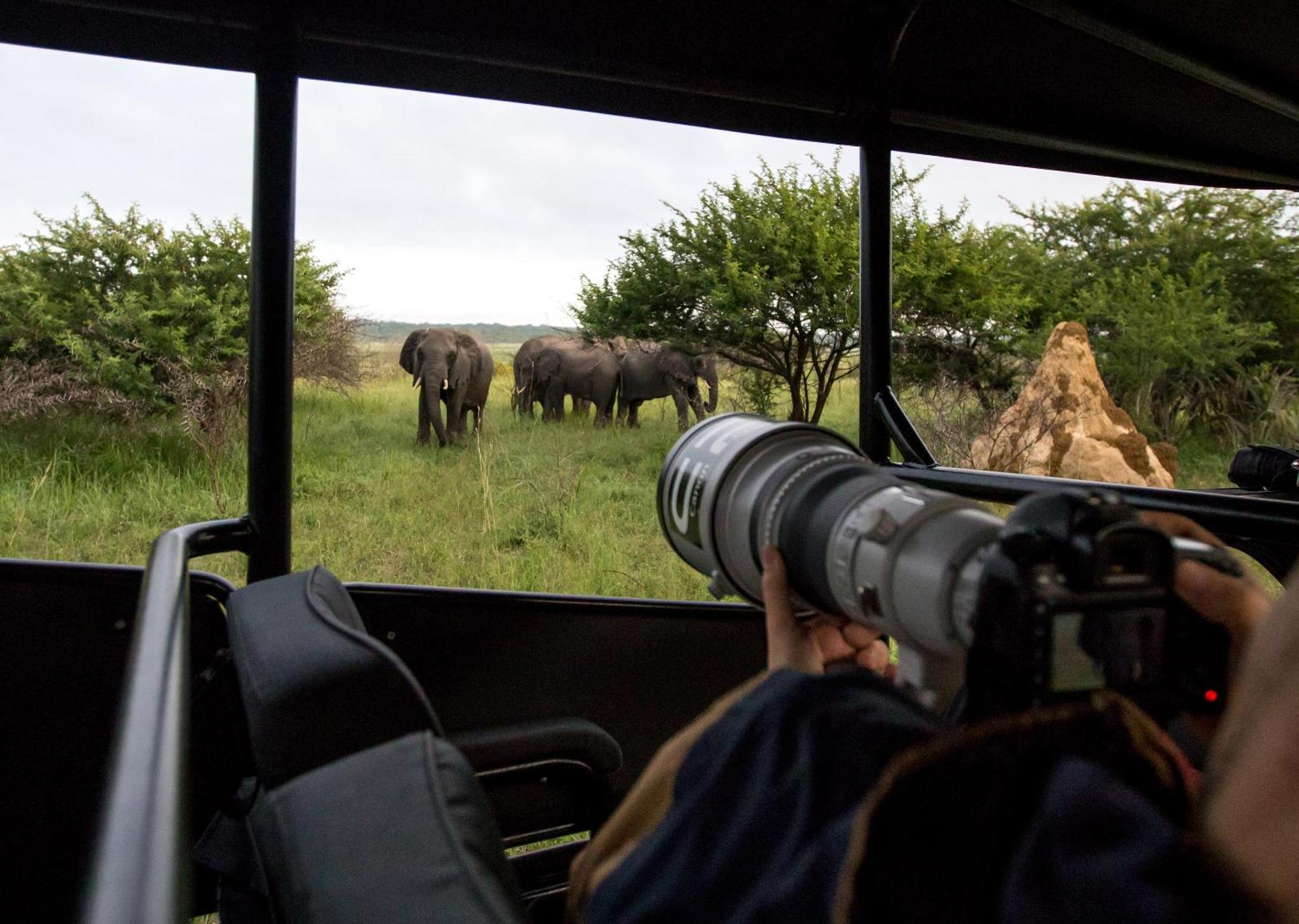 Royal Thonga Safari Lodge Sihangwane Ngoại thất bức ảnh