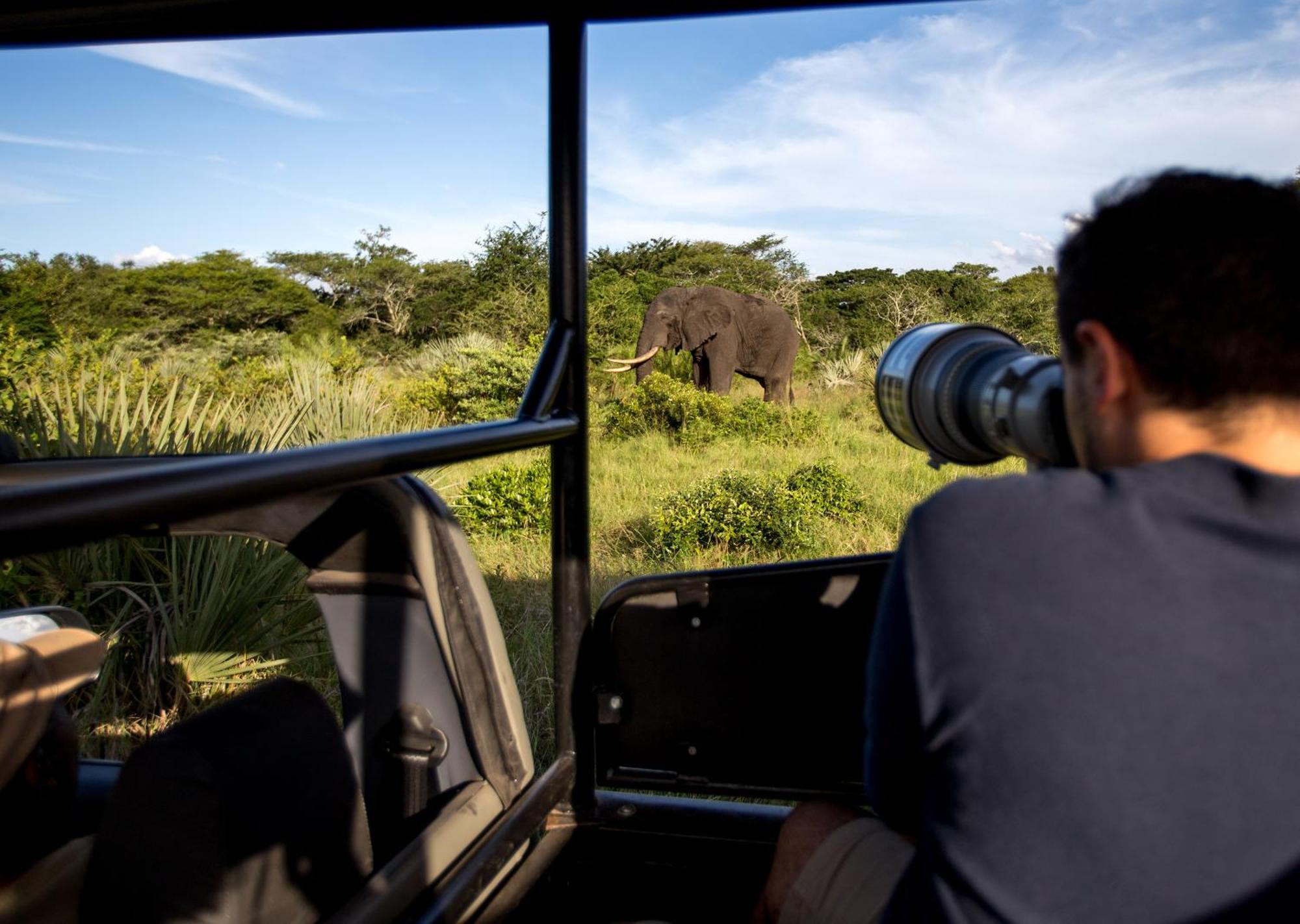 Royal Thonga Safari Lodge Sihangwane Ngoại thất bức ảnh