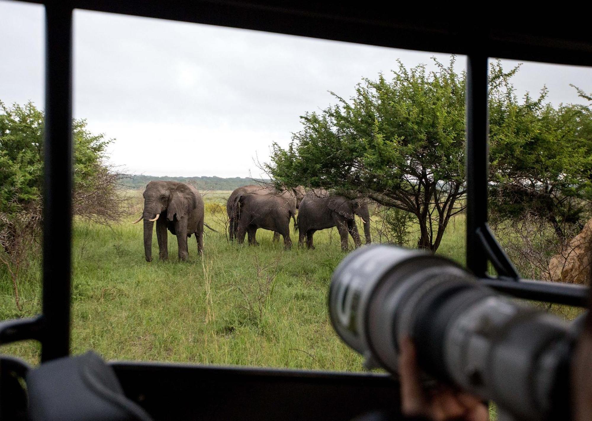 Royal Thonga Safari Lodge Sihangwane Ngoại thất bức ảnh