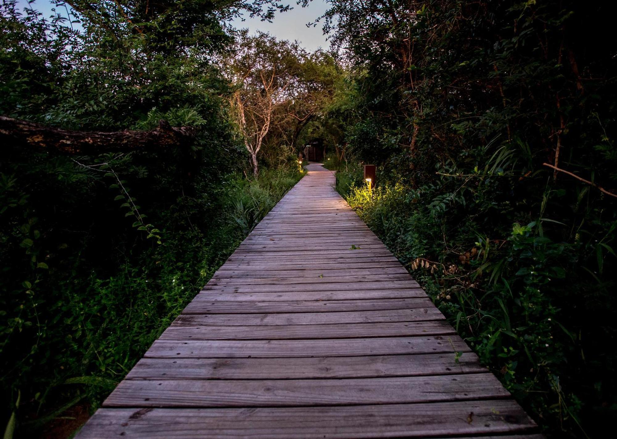 Royal Thonga Safari Lodge Sihangwane Ngoại thất bức ảnh