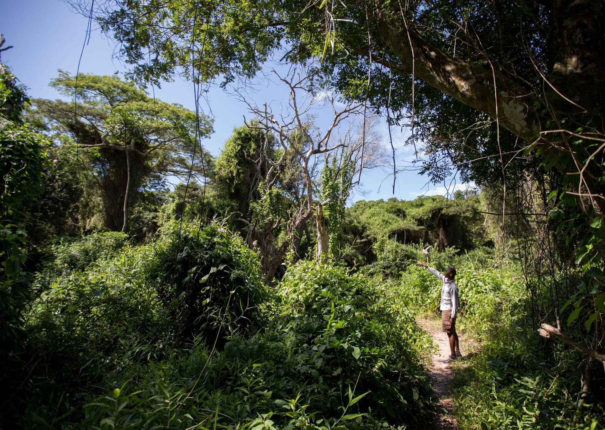 Royal Thonga Safari Lodge Sihangwane Ngoại thất bức ảnh
