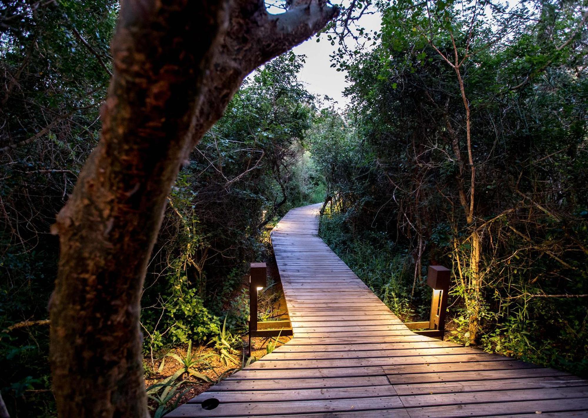 Royal Thonga Safari Lodge Sihangwane Ngoại thất bức ảnh