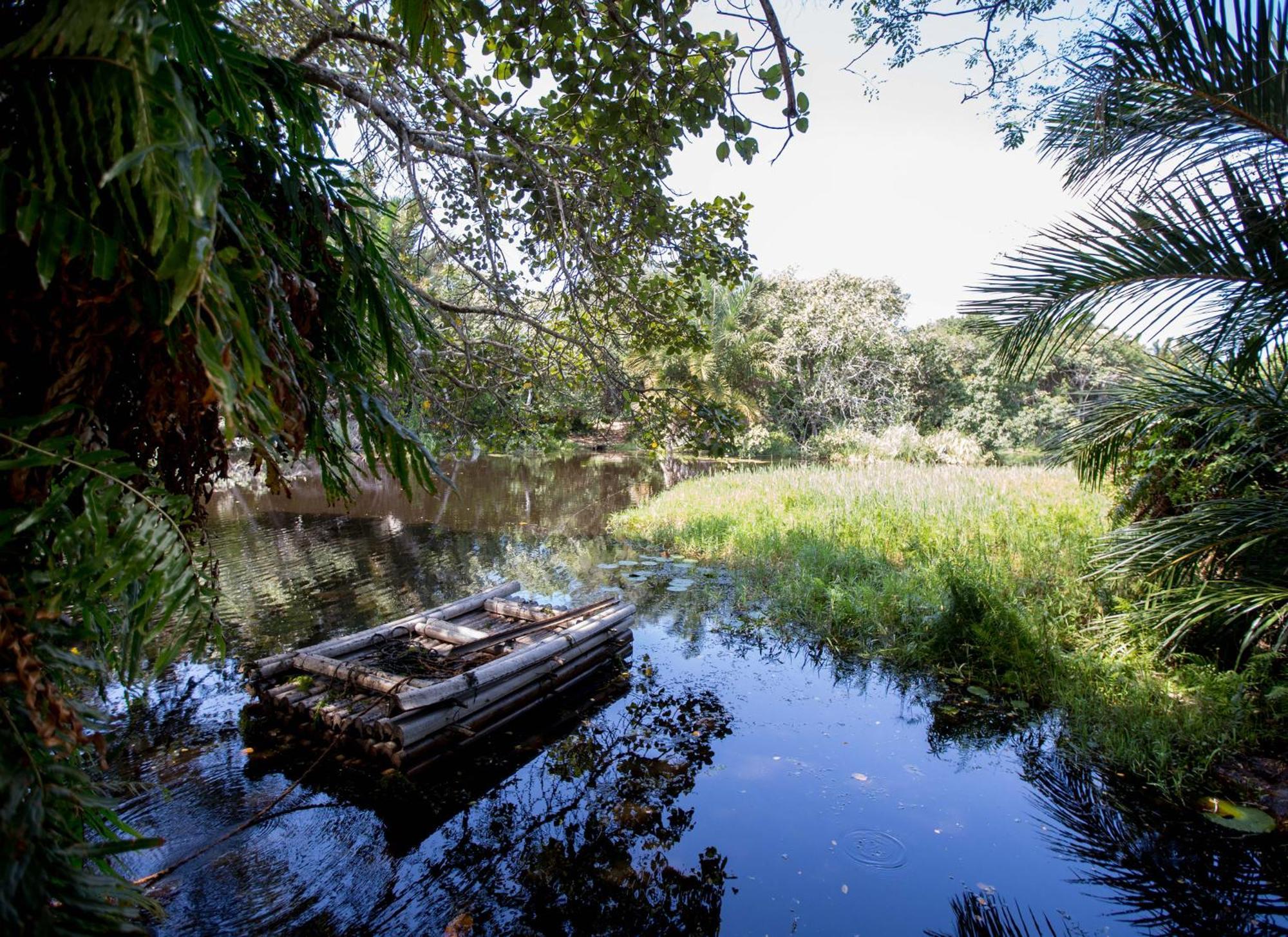 Royal Thonga Safari Lodge Sihangwane Ngoại thất bức ảnh